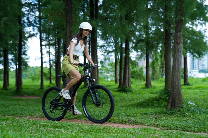 Bicicleta de montaña eléctrica plegable de largo alcance Long Range Foldable Electric Mountain Bike